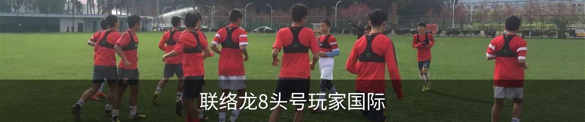 联络龙8头号玩家国际